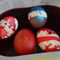 eier5
